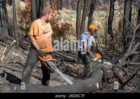 Die Folgen der Waldbrände auf der Insel Evia, einer der größten Umweltkatastrophen des Landes. Holzfäller aus anderen Regionen Griechenlands schneiden Bäume, um den Wald wiedergeboren zu lassen, arbeiten aber auch in den verbrannten Gebieten, um eine weitere Bodenerosion zu verhindern, ein Schaden, der zu gefährlichen Erdrutschen und Überschwemmungen führt. Wissenschaftler behaupten, dass die Waldbrände durch den Klimawandel verursacht wurden, nachdem lange Trockenzeiten mit Rekordtemperaturen im Süden Europas und im Mittelmeerraum zu den Waldbränden geführt hatten. Die Menschen vor Ort sind am Boden zerstört, da die Wirtschaft von dem Brand betroffen war Stockfoto