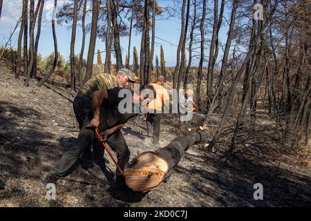 Die Folgen der Waldbrände auf der Insel Evia, einer der größten Umweltkatastrophen des Landes. Holzfäller aus anderen Regionen Griechenlands schneiden Bäume, um den Wald wiedergeboren zu lassen, arbeiten aber auch in den verbrannten Gebieten, um eine weitere Bodenerosion zu verhindern, ein Schaden, der zu gefährlichen Erdrutschen und Überschwemmungen führt. Wissenschaftler behaupten, dass die Waldbrände durch den Klimawandel verursacht wurden, nachdem lange Trockenzeiten mit Rekordtemperaturen im Süden Europas und im Mittelmeerraum zu den Waldbränden geführt hatten. Die Menschen vor Ort sind am Boden zerstört, da die Wirtschaft von dem Brand betroffen war Stockfoto