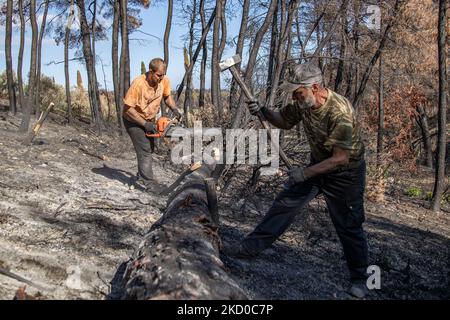 Die Folgen der Waldbrände auf der Insel Evia, einer der größten Umweltkatastrophen des Landes. Holzfäller aus anderen Regionen Griechenlands schneiden Bäume, um den Wald wiedergeboren zu lassen, arbeiten aber auch in den verbrannten Gebieten, um eine weitere Bodenerosion zu verhindern, ein Schaden, der zu gefährlichen Erdrutschen und Überschwemmungen führt. Wissenschaftler behaupten, dass die Waldbrände durch den Klimawandel verursacht wurden, nachdem lange Trockenzeiten mit Rekordtemperaturen im Süden Europas und im Mittelmeerraum zu den Waldbränden geführt hatten. Die Menschen vor Ort sind am Boden zerstört, da die Wirtschaft von dem Brand betroffen war Stockfoto