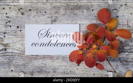 Sympathiekarte mit farbigen Herbstblättern und englischem Text: Aufrichtiges Beileid Stockfoto