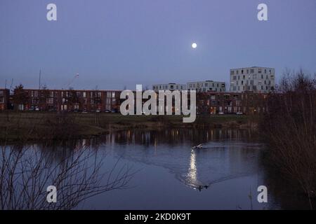 Der Vollmond Wolf in den Niederlanden erhellt den klaren Winterhimmel im Januar mit Spiegelungen auf einem kleinen See. Der erste Vollmond von 2022, der Wolf Moon, der in einem Wohngebiet in der Nähe von Eindhoven hinter Häusern und Gebäuden aufsteigt und den niederländischen Himmel erhellt. Andere Namen des natürlichen Satelliten der Erde in der Umlaufbahn um den Planeten sind Selene, Luna und Cynthia. Der Mond ist der größte Satellit im Sonnensystem. Eindhoven, Niederlande am 17. Januar 2022 (Foto: Nicolas Economou/NurPhoto) Stockfoto