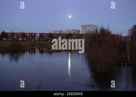 Der Vollmond Wolf in den Niederlanden erhellt den klaren Winterhimmel im Januar mit Spiegelungen auf einem kleinen See. Der erste Vollmond von 2022, der Wolf Moon, der in einem Wohngebiet in der Nähe von Eindhoven hinter Häusern und Gebäuden aufsteigt und den niederländischen Himmel erhellt. Andere Namen des natürlichen Satelliten der Erde in der Umlaufbahn um den Planeten sind Selene, Luna und Cynthia. Der Mond ist der größte Satellit im Sonnensystem. Eindhoven, Niederlande am 17. Januar 2022 (Foto: Nicolas Economou/NurPhoto) Stockfoto