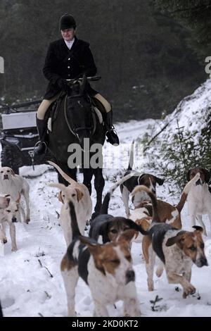 Die Lauderdale Hunt, am Samstag, den 8.. Januar 2022 mit MFH Claire Bellamy zu Pferd, folgt dem Jagdhund, während sie in den Moorfoot Hills im Leithen Water Valley außerhalb von Innerleithen in den Scottish Borders liegt. Seit dem Wild Mammals Protection (Scotland) Act (2002). Die anhaltenden Bedenken über die Wirksamkeit der Gesetzgebung und über die Verwendung von Hundepaketen zur Füchsflutung veranlassten die schottische Regierung, Lord Bonomy zu ernennen, um eine Überprüfung der Funktionsweise der Gesetzgebung vorzunehmen. (Foto von Rob Gray/NurPhoto) Stockfoto