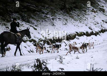 Die Lauderdale Hunt, am Samstag, den 8.. Januar 2022 mit MFH Claire Bellamy zu Pferd, folgt dem Jagdhund, während sie in den Moorfoot Hills im Leithen Water Valley außerhalb von Innerleithen in den Scottish Borders liegt. Seit dem Wild Mammals Protection (Scotland) Act (2002). Die anhaltenden Bedenken über die Wirksamkeit der Gesetzgebung und über die Verwendung von Hundepaketen zur Füchsflutung veranlassten die schottische Regierung, Lord Bonomy zu ernennen, um eine Überprüfung der Funktionsweise der Gesetzgebung vorzunehmen. (Foto von Rob Gray/NurPhoto) Stockfoto