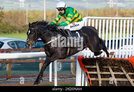 Belfast, Großbritannien. 05.. November 2022. Cougar und Jockey Mark Walsh gewinnen die Value Cabs 3-Y-O-Hürde für Trainer Padraig Roche und Besitzer J.P.McManus auf der Rennstrecke Down Royal. Quelle: JTW Equine Images/Alamy Live News Stockfoto