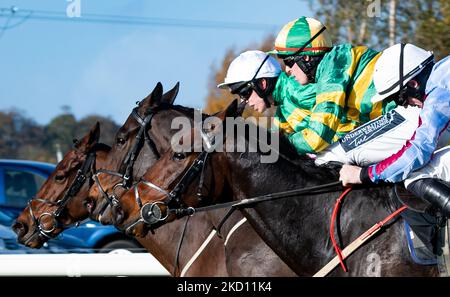 Belfast, Großbritannien. 05.. November 2022. Invictus Machin und Keith Donoghue gewinnen die Hürde der Tayto Group auf der Down Royal Racecourse für Trainer Gavin Cromwell und Besitzer J.P,McManus Credit: JTW Equine Images/Alamy Live News Stockfoto