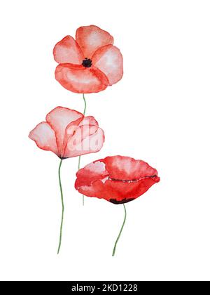 Remembrance Day. Schönes Bild mit Mohnblumen. Nahaufnahme, Draufsicht. Nationales Urlaubskonzept. Herzlichen Glückwunsch für Familie, Verwandte, Freunde und Stockfoto