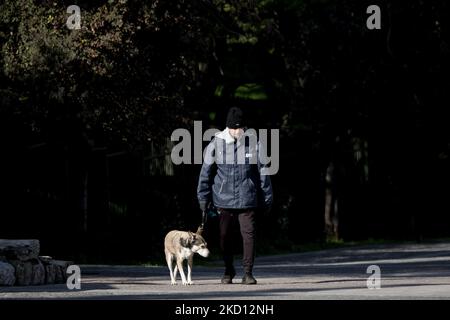 Am 23. Januar 2022 läuft ein Mann mit seinem Hund an der Akropolis Heel mit einer geschützten Maske in Athen, Griechenland. (Foto von Nikolas Kokovlis/NurPhoto) Stockfoto