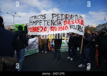 Menschen während der Mobilisierung zur Verteidigung des ländlichen Raums und der ländlichen Welt und des künftigen Tierschutzgesetzes am 23. Januar 2022 in Madrid, Spanien, auf der Plaza San Juan de la Cruz. Der Verein Alma Rural hat den Protest unter dem Namen „große Demonstration der ländlichen Welt“ bezeichnet, um auf die Situation des Primärsektors zu reagieren und das Bewusstsein in der Gesellschaft für die Krise und die Angriffe von verschiedenen Fronten zu schärfen, die das Feld und unterstützen Die Menschen, die in der Branche arbeiten. Außerdem nahmen die von der betroffenen Sektoren und Gruppen an dem Protest Teil Stockfoto