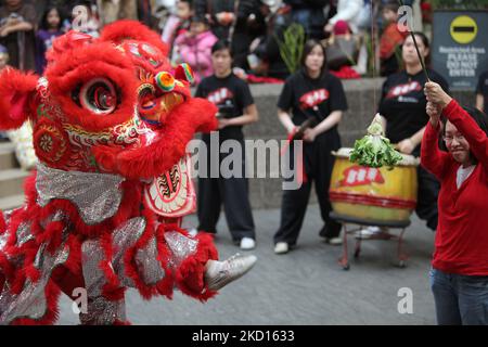 Chinesische Löwentanzausgaben im chinesischen Mondjahr des Tigers in Markham, Ontario, Kanada. (Foto von Creative Touch Imaging Ltd./NurPhoto) Stockfoto