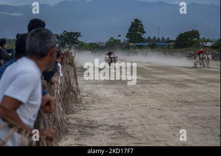 Am 25. Januar 2022 fahren die Teilnehmer bei einem „Karapan Sapi“ (Bullenrennen) im Dorf South Tinggede, Sigi Regency, Provinz Central Sulawesi, Indonesien, mit ihren Kühen. Die Tradition der Rennrinder nach der Ernte wird in der Region wieder gehalten, nachdem sie zuvor aufgrund der COVID-19-Pandemie aufgehoben wurde. (Foto von Basri Marzuki/NurPhoto) Stockfoto