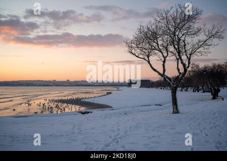 Schneeszenen in Istanbul am 25. Januar 2022. (Foto von Erhan Demirtas/NurPhoto) Stockfoto