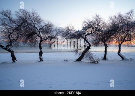 Schneeszenen in Istanbul am 25. Januar 2022. (Foto von Erhan Demirtas/NurPhoto) Stockfoto