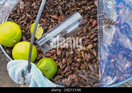 Eimer voll mit Chapulinen, getrockneten und gerösteten Heuschrecken, eine vorhispanische mexikanische Delikatesse, zum Verkauf in einer Straße in San Cristobal de las Casas. Am Donnerstag, den 27. Januar 2022, in San Cristobal de las Casas, Chiapas, Mexiko. (Foto von Artur Widak/NurPhoto) Stockfoto