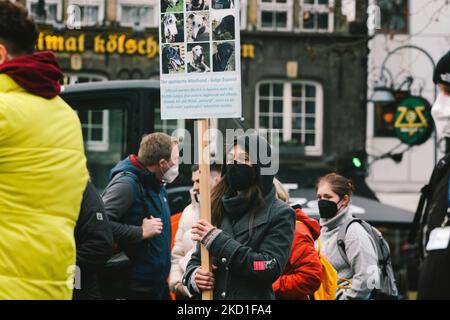 Eine Frau hat während des Galgowalks in Köln am 29. Januar 2022 ein Zeichen des Missbrauchs und der Jagd auf galgos in Spanien (Foto: Ying Tang/NurPhoto) Stockfoto