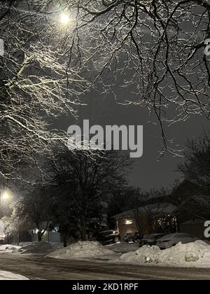 Bäume mit Schnee und Eis bedeckt, als am 02. Februar 2022 Schnee die Stadt Toronto, Ontario, Kanada, bedeckte. Es wird erwartet, dass der Sturm in den nächsten zwei Tagen zwischen 20-25 Zentimetern Schnee im Großraum Toronto fallen wird. (Foto von Creative Touch Imaging Ltd./NurPhoto) Stockfoto