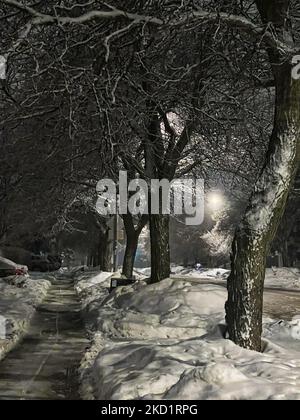 Bäume mit Schnee und Eis bedeckt, als am 02. Februar 2022 Schnee die Stadt Toronto, Ontario, Kanada, bedeckte. Es wird erwartet, dass der Sturm in den nächsten zwei Tagen zwischen 20-25 Zentimetern Schnee im Großraum Toronto fallen wird. (Foto von Creative Touch Imaging Ltd./NurPhoto) Stockfoto