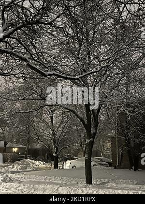Bäume mit Schnee und Eis bedeckt, als am 02. Februar 2022 Schnee die Stadt Toronto, Ontario, Kanada, bedeckte. Es wird erwartet, dass der Sturm in den nächsten zwei Tagen zwischen 20-25 Zentimetern Schnee im Großraum Toronto fallen wird. (Foto von Creative Touch Imaging Ltd./NurPhoto) Stockfoto