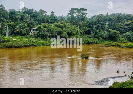 Mahaweli River (Great Sandy River) in Polgolla, Sri Lanka, am 04. September 2017. Der Mahaweli Fluss ist der längste Fluss in Sri Lanka. (Foto von Creative Touch Imaging Ltd./NurPhoto) Stockfoto