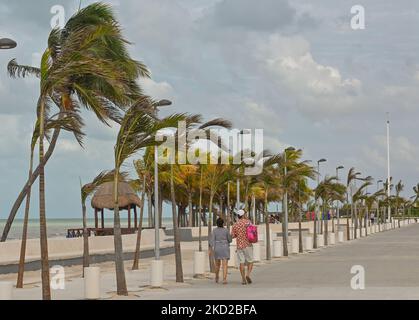 Windige Strandpromenade in Progreso. Am Mittwoch, den 09. Februar 2022, in Progreso, Yucatan, Mexiko. (Foto von Artur Widak/NurPhoto) Stockfoto