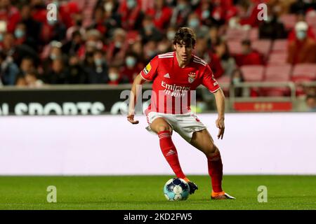 Paulo Bernardo von SL Benfica in Aktion während des Fußballspiels der Portugiesischen Liga zwischen SL Benfica und CD Santa Clara am 12. Februar 2022 im Luz-Stadion in Lissabon, Portugal. (Foto von Pedro FiÃºza/NurPhoto) Stockfoto