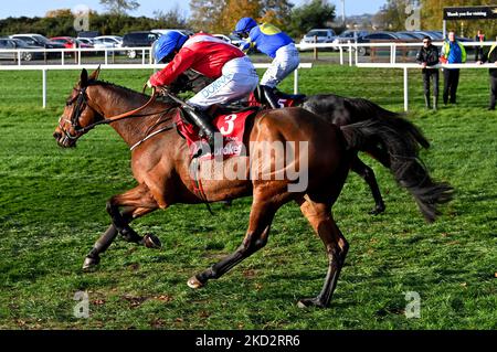 Envoi Allen wird von Jockey Rachael Blackmore (rote Seide) auf dem Weg zum Sieg des Ladbrokes Champion Chase am zweiten Tag des Ladbrokes Festival of Racing auf der Down Royal Racecourse, Lisburn, gefahren. Bilddatum: Samstag, 5. November 2022. Stockfoto