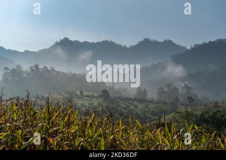Neblige Morgenlandschaftlich reizvolle Berglandschaft in einem wunderschönen ländlichen Tal in der Nähe von Chiang Dao, Chiang Mai, Thailand Stockfoto