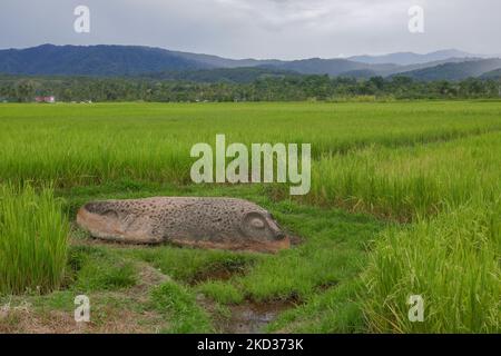 Landschaftsansicht von geheimnisvollen alten Megalith, bekannt als Baula im Lore Lindu Nationalpark, Bada oder Napu Tal, Zentral Sulawesi, Indonesien Stockfoto