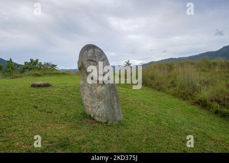 Landschaftsansicht von geheimnisvollen alten Megalith, bekannt als Loga im Lore Lindu Nationalpark, Bada oder Napu Tal, Zentral Sulawesi, Indonesien Stockfoto