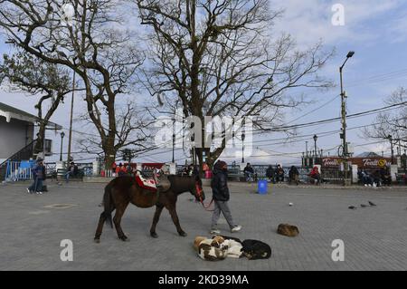 Eine weite Ansicht des Darjeeling Einkaufszentrums, Westbengalen, Indien, 22. Februar 2022. Darjeeling Mall ist ein berühmter Ort für Touristen. Darjeeling ist auch als Königin der Hügel bekannt. (Foto von Indranil Aditya/NurPhoto) Stockfoto