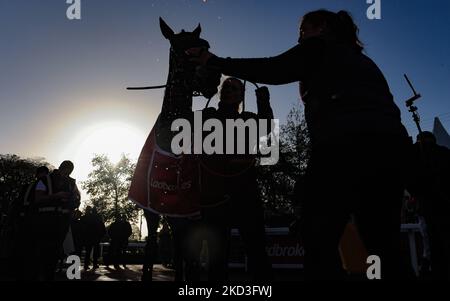 Belfast, Großbritannien. 5.. November 2022. Envoi Allen und Rachael Blackmore gewinnen den Ladbrokes Champion Chase in Down Royal für Trainer Henry De Bromhead und Besitzer Cheveley Park Stud. Quelle: JTW Equine Images/Alamy Live News Stockfoto