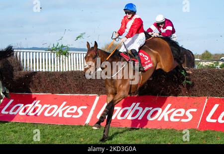 Belfast, Großbritannien. 5.. November 2022. Envoi Allen und Rachael Blackmore gewinnen den Ladbrokes Champion Chase in Down Royal für Trainer Henry De Bromhead und Besitzer Cheveley Park Stud. Quelle: JTW Equine Images/Alamy Live News Stockfoto