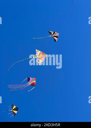 Drachen gegen den blauen Himmel, Lignano Beach, Venedig, Italien Stockfoto