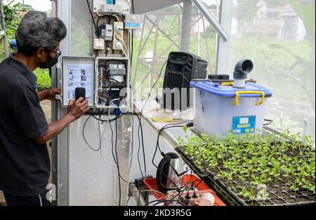 Ein Landwirt, der auf einem Feld in Bogor, West Java, Indonesien, Ausrüstung installiert, um ein Gemüsewachstum mithilfe einer landwirtschaftlichen Technologie zu überwachen, 27. Februar 2022. Die digitale Landwirtschaft hat das Potenzial, viele der Ziele für nachhaltige Entwicklung (Sustainable Development Goals, SDGs) voranzubringen, um die Landwirtschaft produktiver, konsistenter und Zeit und Ressourcen effizienter zu nutzen. (Foto von Adriana Adie/NurPhoto) Stockfoto