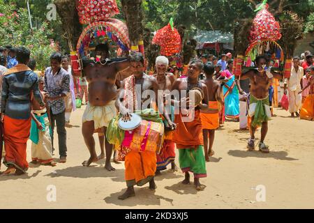 Tamilische Hindu-Männer spielen eine rhythmische Melodie auf traditionellen Trommeln, während eifrige Anhänger das Kavadi Attam Ritual während des Amman Ther Thiruvizha Festivals im Tellipalai Amman Tempel in Tellipalai, Nordprovinz, Sri Lanka, durchführen. (Foto von Creative Touch Imaging Ltd./NurPhoto) Stockfoto