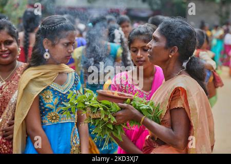 Die tamilische Hindu-Frau trägt einen Tontopf mit flammendem Kampfer, während sie an einer religiösen Prozession im Tellipalai Amman Tempel während des Amman Ther Thiruvizha Festivals in Tellipalai, Nordprovinz, Sri Lanka, teilnimmt. (Foto von Creative Touch Imaging Ltd./NurPhoto) Stockfoto