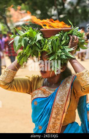 Die tamilische Hindu-Frau trägt während des Amman Ther Thiruvizha Festivals im Tellipalai Amman Tempel in Tellipalai, Nordprovinz, Sri Lanka, einen Tontopf mit flammendem Kampfer auf sich. (Foto von Creative Touch Imaging Ltd./NurPhoto) Stockfoto