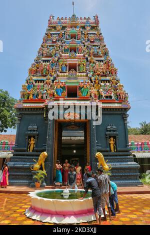 Lotusbrunnen am Tellipalai Amman Tempel in Tellipalai, Nordprovinz, Sri Lanka. (Foto von Creative Touch Imaging Ltd./NurPhoto) Stockfoto