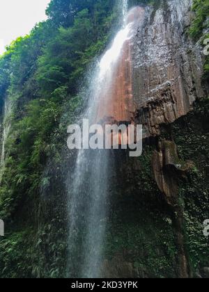 Ein Wasserfall von der Spitze des Hügels hinunter zum Meer, umgeben von Gräsern und Felsen Stockfoto