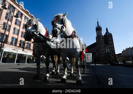 Die Pferdekutsche hält am 1. März 2022 auf dem Hauptplatz in Krakau, Polen, an. (Foto von Jakub Porzycki/NurPhoto) Stockfoto