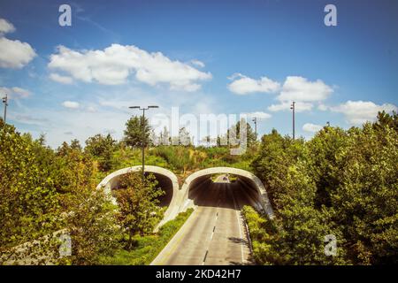 Landbrücke über vierspurige Autobahn im Sommer umgeben von grünen Bäumen unter ziemlich blauem bewölktem Himmel Stockfoto