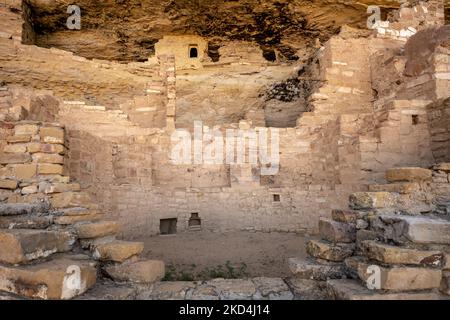 Rand von Uncoverd Kiva im Mug House im Mesa Verde National Park Stockfoto