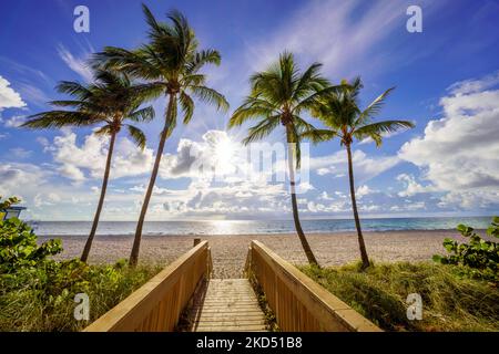 Wunderschöner Strandpfad, eingerahmt von Palmen, der zum Strand, Hollywood Beach, Sunrise Miami, South Florida, USA führt Stockfoto