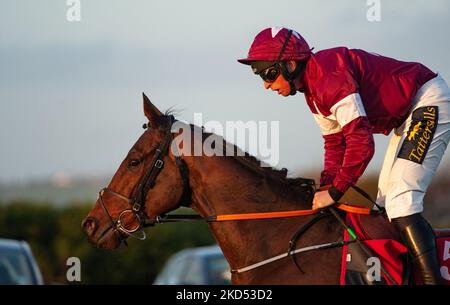 Belfast, Großbritannien. 5. November 2022.. King of Kingsfield und Jamie Codd nehmen das Ladbrokes Pro/am Flat Race für Trainer Gordon Elliott und Besitzer des Gigginstown House Gestüts an. Stockfoto