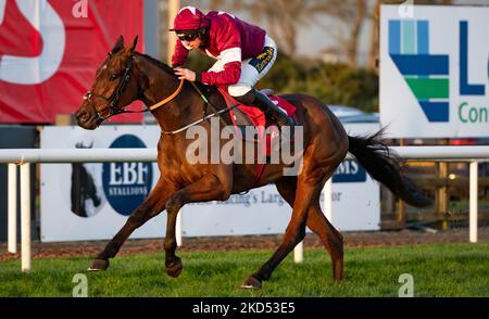 Belfast, Großbritannien. 5. November 2022.. King of Kingsfield und Jamie Codd nehmen das Ladbrokes Pro/am Flat Race für Trainer Gordon Elliott und Besitzer des Gigginstown House Gestüts an. Stockfoto