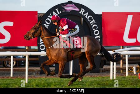 Belfast, Großbritannien. 5. November 2022.. King of Kingsfield und Jamie Codd nehmen das Ladbrokes Pro/am Flat Race für Trainer Gordon Elliott und Besitzer des Gigginstown House Gestüts an. Stockfoto