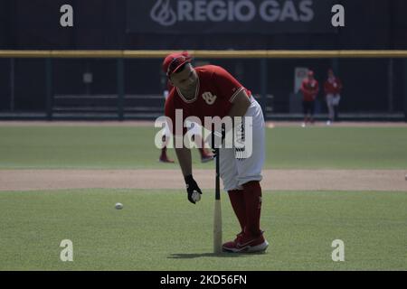 Mitglieder des Teams Diablos Rojos del México begannen die Vorsaison 2022 mit ihrem ersten Training im Estadio Alfredo Harp Helú in Mexiko-Stadt. An diesem ersten Trainingstag waren 20 Außenfeldspieler und 25 Pitcher dabei, und das Team wartet auf den Bericht der Kanoneballers Japhet Amador und der amerikanischen Verstärkung Justin Bour. (Foto von Gerardo Vieyra/NurPhoto) Stockfoto