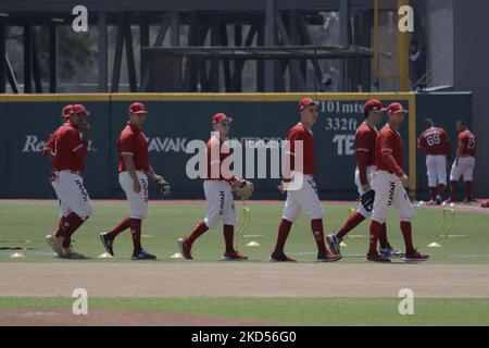 Mitglieder des Teams Diablos Rojos del México begannen die Vorsaison 2022 mit ihrem ersten Training im Estadio Alfredo Harp Helú in Mexiko-Stadt. An diesem ersten Trainingstag waren 20 Außenfeldspieler und 25 Pitcher dabei, und das Team wartet auf den Bericht der Kanoneballers Japhet Amador und der amerikanischen Verstärkung Justin Bour. (Foto von Gerardo Vieyra/NurPhoto) Stockfoto