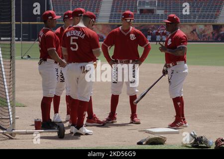 Mitglieder des Teams Diablos Rojos del México begannen die Vorsaison 2022 mit ihrem ersten Training im Estadio Alfredo Harp Helú in Mexiko-Stadt. An diesem ersten Trainingstag waren 20 Außenfeldspieler und 25 Pitcher dabei, und das Team wartet auf den Bericht der Kanoneballers Japhet Amador und der amerikanischen Verstärkung Justin Bour. (Foto von Gerardo Vieyra/NurPhoto) Stockfoto