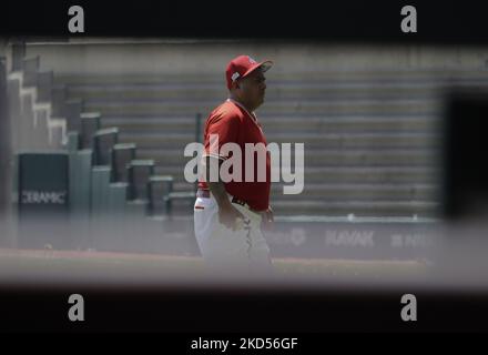 Mitglieder des Teams Diablos Rojos del México begannen die Vorsaison 2022 mit ihrem ersten Training im Estadio Alfredo Harp Helú in Mexiko-Stadt. An diesem ersten Trainingstag waren 20 Außenfeldspieler und 25 Pitcher dabei, und das Team wartet auf den Bericht der Kanoneballers Japhet Amador und der amerikanischen Verstärkung Justin Bour. (Foto von Gerardo Vieyra/NurPhoto) Stockfoto